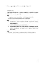 Referāts 'SIA "Positivus grupa"', 4.