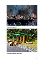 Referāts 'SIA "Positivus grupa"', 20.