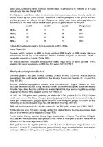 Referāts 'Mārtiņa baznīca', 3.