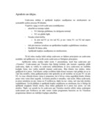 Referāts 'Transporta procesa datormodelēšana', 5.