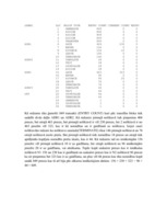 Referāts 'Transporta procesa datormodelēšana', 17.