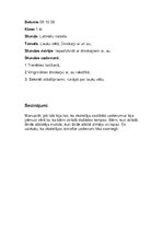 Prakses atskaite 'Aktīvā mācību audzināšanas prakse sākumskolā', 3.