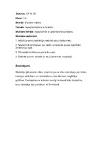 Prakses atskaite 'Aktīvā mācību audzināšanas prakse sākumskolā', 8.