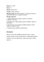 Prakses atskaite 'Aktīvā mācību audzināšanas prakse sākumskolā', 9.