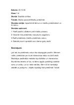 Prakses atskaite 'Aktīvā mācību audzināšanas prakse sākumskolā', 11.