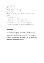 Prakses atskaite 'Aktīvā mācību audzināšanas prakse sākumskolā', 12.