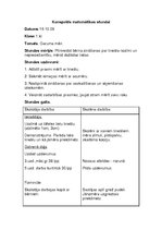 Prakses atskaite 'Aktīvā mācību audzināšanas prakse sākumskolā', 15.