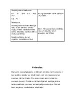 Prakses atskaite 'Aktīvā mācību audzināšanas prakse sākumskolā', 16.