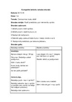 Prakses atskaite 'Aktīvā mācību audzināšanas prakse sākumskolā', 17.