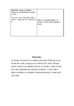 Prakses atskaite 'Aktīvā mācību audzināšanas prakse sākumskolā', 19.