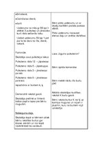 Prakses atskaite 'Aktīvā mācību audzināšanas prakse sākumskolā', 21.