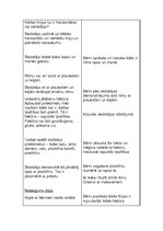 Prakses atskaite 'Aktīvā mācību audzināšanas prakse sākumskolā', 27.