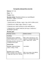 Prakses atskaite 'Aktīvā mācību audzināšanas prakse sākumskolā', 29.