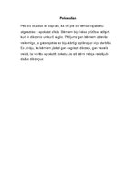 Prakses atskaite 'Aktīvā mācību audzināšanas prakse sākumskolā', 31.