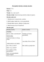 Prakses atskaite 'Aktīvā mācību audzināšanas prakse sākumskolā', 47.