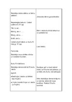 Prakses atskaite 'Aktīvā mācību audzināšanas prakse sākumskolā', 48.