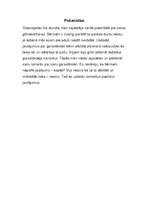 Prakses atskaite 'Aktīvā mācību audzināšanas prakse sākumskolā', 50.