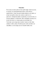 Prakses atskaite 'Aktīvā mācību audzināšanas prakse sākumskolā', 55.