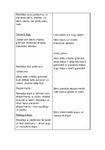 Prakses atskaite 'Aktīvā mācību audzināšanas prakse sākumskolā', 58.