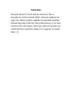 Prakses atskaite 'Aktīvā mācību audzināšanas prakse sākumskolā', 63.