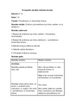 Prakses atskaite 'Aktīvā mācību audzināšanas prakse sākumskolā', 65.