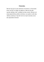 Prakses atskaite 'Aktīvā mācību audzināšanas prakse sākumskolā', 67.