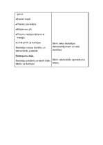 Prakses atskaite 'Aktīvā mācību audzināšanas prakse sākumskolā', 74.