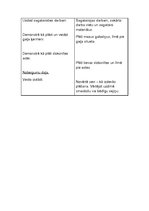 Prakses atskaite 'Aktīvā mācību audzināšanas prakse sākumskolā', 78.