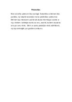 Prakses atskaite 'Aktīvā mācību audzināšanas prakse sākumskolā', 91.