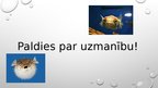 Prezentācija 'Zivsaimniecības nozares loma un vieta Latvijas tautsaimniecībā', 13.