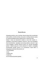 Referāts 'Nepilngadīgo kriminālatbildības īpatnības', 24.