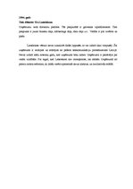 Referāts '"Lattelekom" vēsture un vadīšanas prakse', 8.