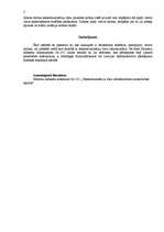 Referāts 'Telekomunikāciju tīkli', 3.