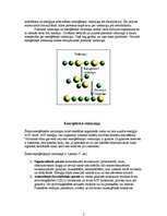 Konspekts 'Metabolisms (vielmaiņa)', 2.
