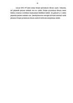 Referāts 'Drošības līdzeklis - apcietinājums', 38.