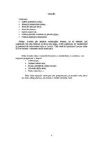 Referāts 'Ekskursija uz Amsterdamu', 3.