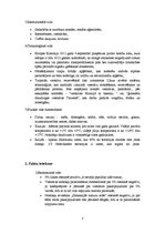 Referāts 'Ekskursija uz Amsterdamu', 5.