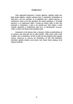 Referāts 'Ekskursija uz Amsterdamu', 10.