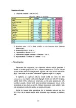 Referāts 'Ekskursija uz Amsterdamu', 12.