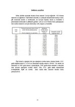 Referāts 'Ekskursija uz Amsterdamu', 13.