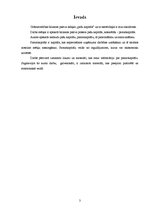 Referāts 'Pašu kapitāls. Pamatkapitāls', 3.