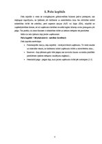 Referāts 'Pašu kapitāls. Pamatkapitāls', 4.