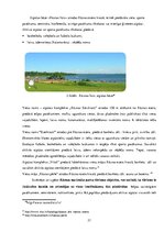 Referāts 'Studiju darbs. Aktīvā tūrisma attīstības iespējas Rāznas nacionālajā parkā', 21.