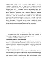 Referāts 'Studiju darbs. Aktīvā tūrisma attīstības iespējas Rāznas nacionālajā parkā', 22.