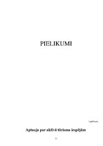 Referāts 'Studiju darbs. Aktīvā tūrisma attīstības iespējas Rāznas nacionālajā parkā', 31.