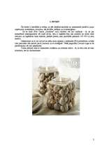 Referāts 'Uzņēmuma izveidošana', 3.