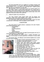 Referāts 'Uzņēmuma izveidošana', 6.