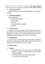 Biznesa plāns 'SIA „Aircamp”', 7.