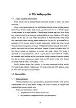 Biznesa plāns 'SIA „Aircamp”', 22.