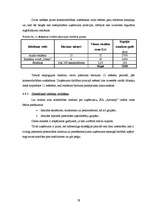 Biznesa plāns 'SIA „Aircamp”', 28.